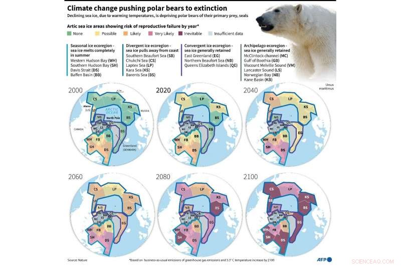 Urgent Climate Change Risk: Polar Bears Face Extinction by 2100