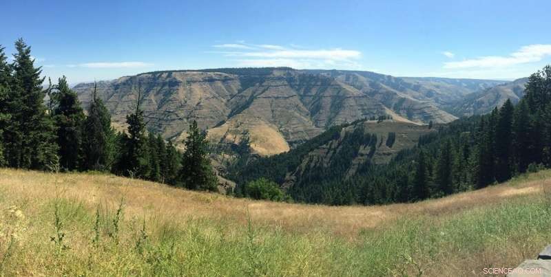 Columbia River Basalt Uplift Reveals Secrets of Regional Landscape Formation