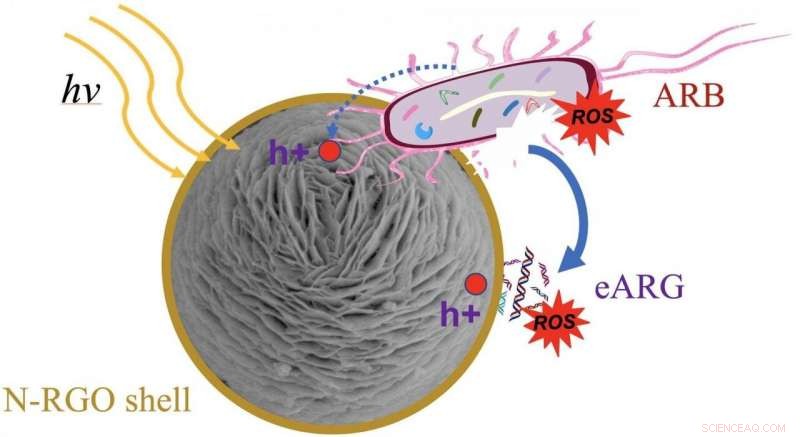 Revolutionizing Wastewater Treatment: Graphene Oxide Nanospheres Enhance Antibacterial Efficacy