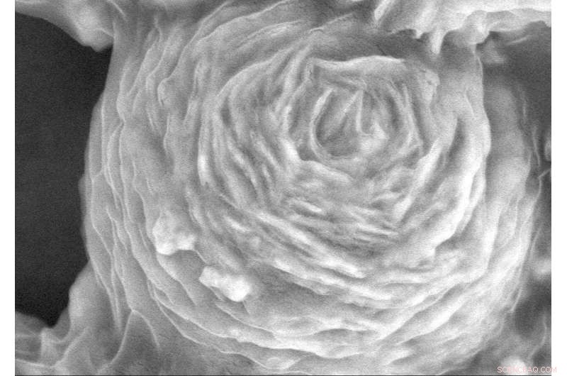 Revolutionizing Wastewater Treatment: Graphene Oxide Nanospheres Enhance Antibacterial Efficacy