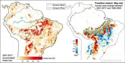 Amazon Forest Trapped in a Vicious Cycle: Scientists Explain Climate Shift, Deforestation, and Fires