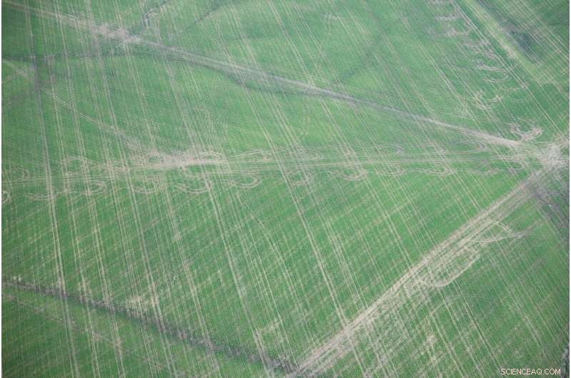 Heavy Wheel Ruts Cause Significant Economic Losses