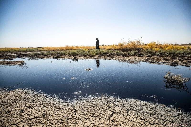 Oil Spill Crisis: Contaminated Rivers Threaten Life in Northeast Syria