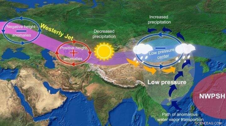 Unveiling the Spatial Consistency of Summer Rainfall Variability across the Mongolian Plateau and North China
