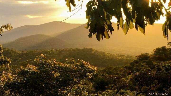 Small-Farm Innovations Cut Deforestation and Combat Climate Change