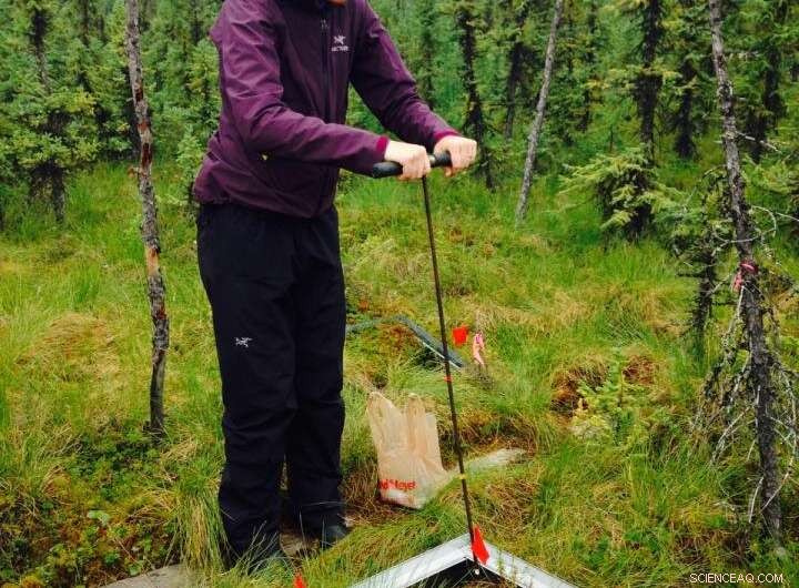 Increasing Moisture in Alaska Threatens Permafrost and Climate Stability