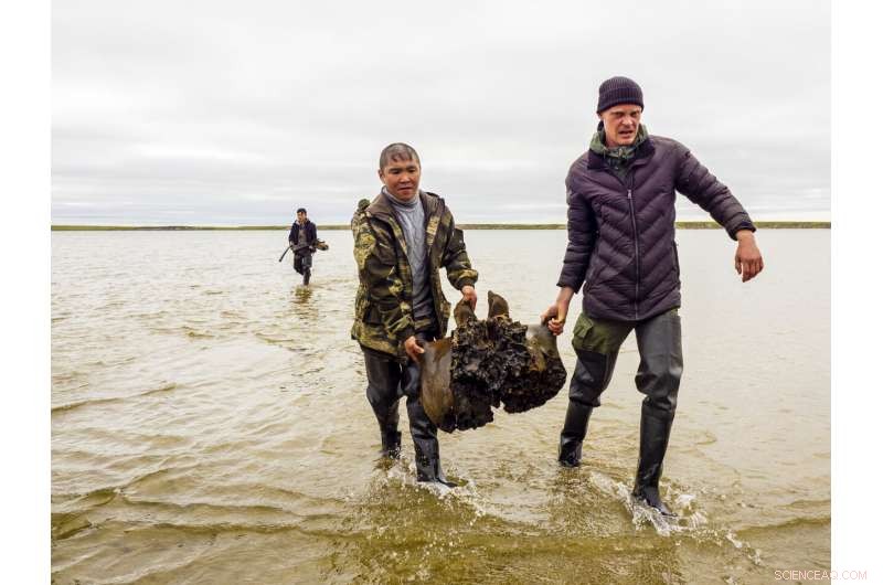 Scientists Discover Impeccably Preserved Mammoth Skeleton in Siberian Lake