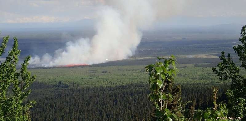 Heatwaves, Wildfires, and Permafrost Thaw: How Climate Change is Transforming the North