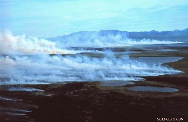 Heatwaves, Wildfires, and Permafrost Thaw: How Climate Change is Transforming the North