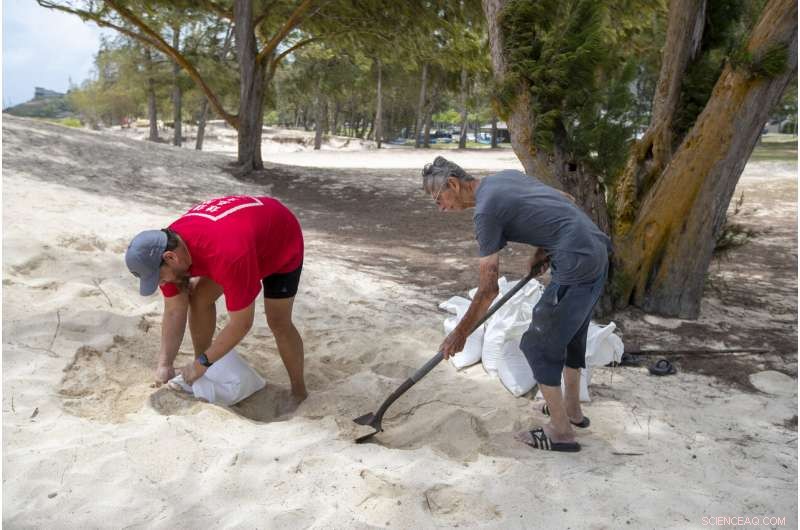 Hurricane Douglas Strengthens, Skirts Hawaii: What to Expect