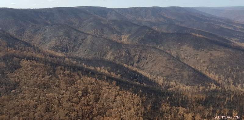 Beyond Human Vision: Understanding the Full Extent of Australia’s 2022 Bushfires