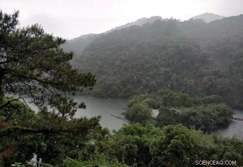 GMMIP Models Deliver Superior Accuracy in Predicting Global Monsoon Variability Compared to Historical Simulations