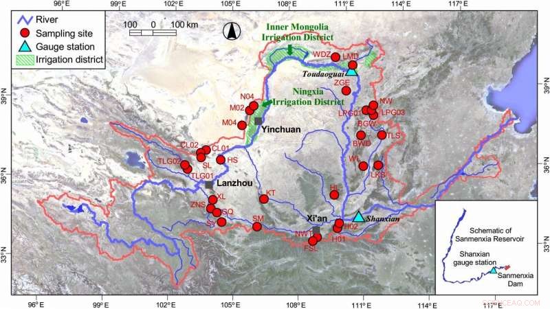 Historic Tree-Ring Dataset Unveiled to Enhance Yellow River Water Management