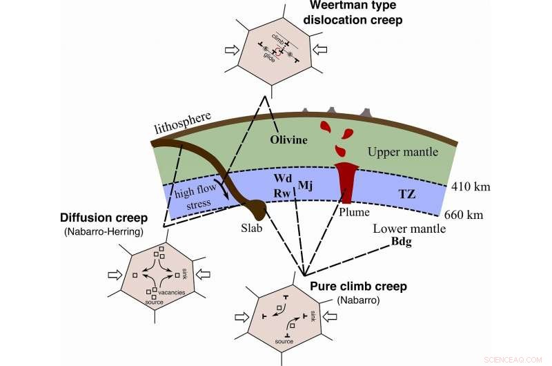 Investigating Deformation of Earth s Transition Zone Compared to the Upper Mantle