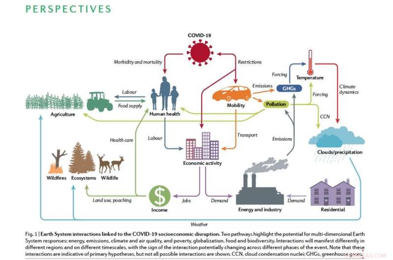 COVID‑19 Reveals Unique Insights into Natural and Human Systems