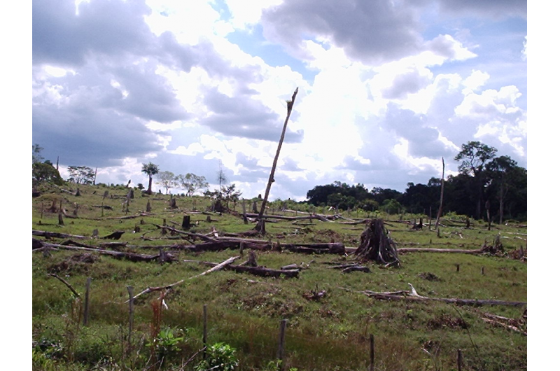 COVID‑19 Reveals Unique Insights into Natural and Human Systems