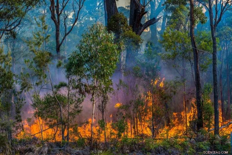 Climate Change Turns Winter into Optimal Time for Controlled Burns, Raising Public Health Concerns