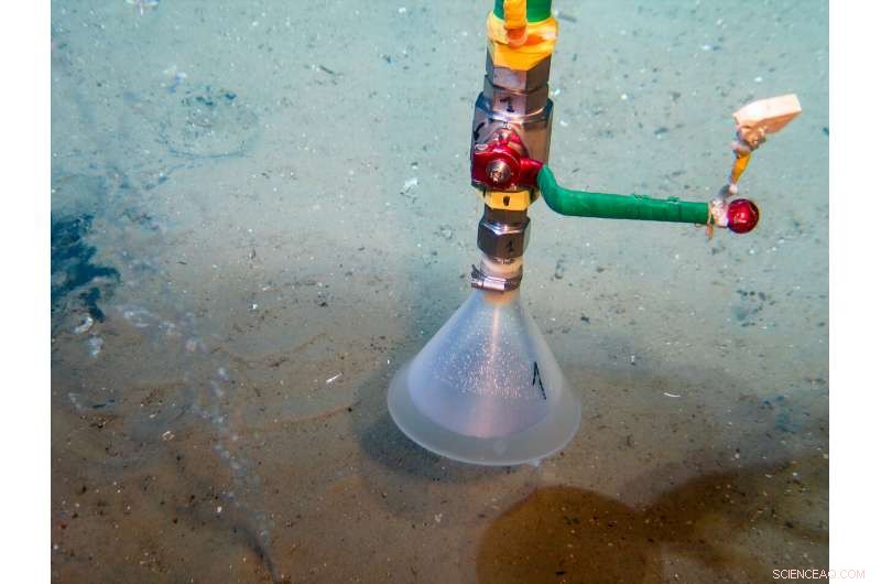 GEOMAR Study Confirms Widespread Gas Leaks in the North Sea