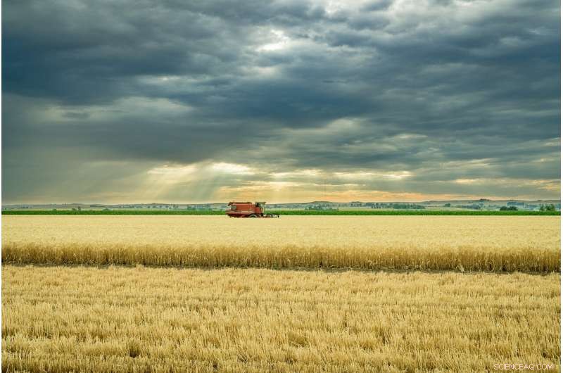 New Framework Clarifies Climate Risks and Impacts on U.S. Agriculture