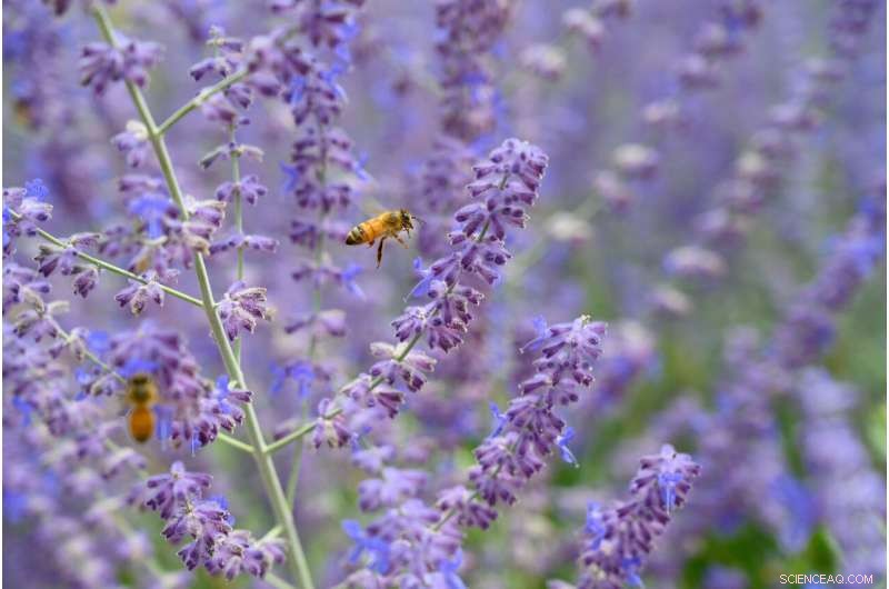 New Framework Clarifies Climate Risks and Impacts on U.S. Agriculture