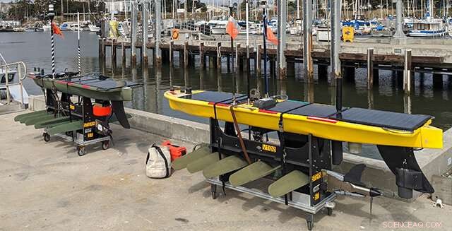 Advancing Ocean Science Amid the COVID-19 Pandemic