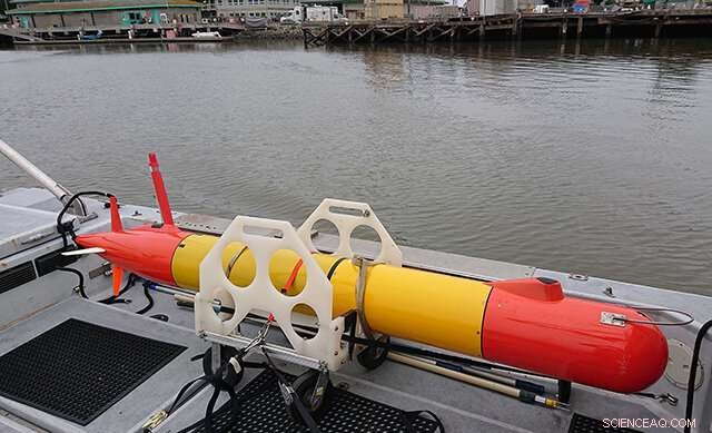 Advancing Ocean Science Amid the COVID-19 Pandemic