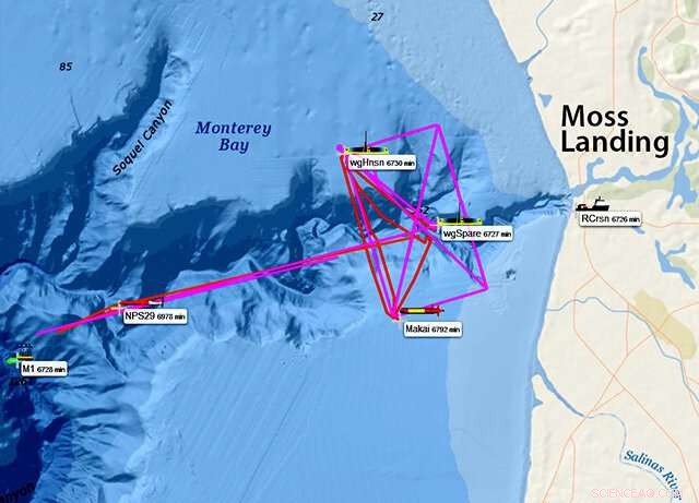 Advancing Ocean Science Amid the COVID-19 Pandemic