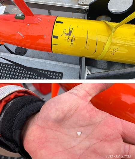 Advancing Ocean Science Amid the COVID-19 Pandemic