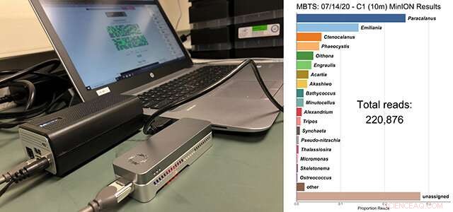 Advancing Ocean Science Amid the COVID-19 Pandemic