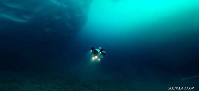 Antarctic Ice Scouring: How It Disrupts Coastal Ecosystems