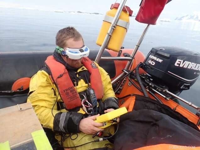 Antarctic Ice Scouring: How It Disrupts Coastal Ecosystems