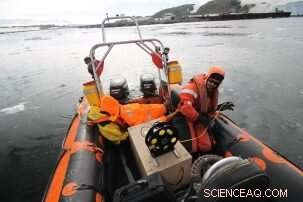 Antarctic Ice Scouring: How It Disrupts Coastal Ecosystems