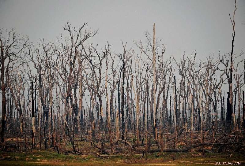 July 2020: Brazilian Amazon Fire Incidents Rise 28% Over Previous Year