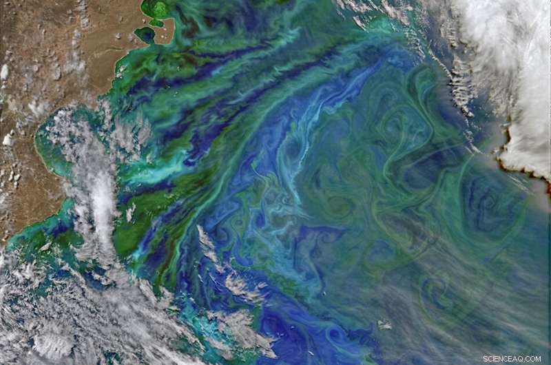 Scientists Reveal Years-Long Forecasts for Diverse Climate Events