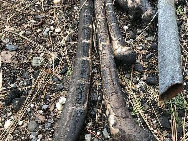 Wildfires Threaten Drinking Water: How Communities Can Safeguard Their Supply