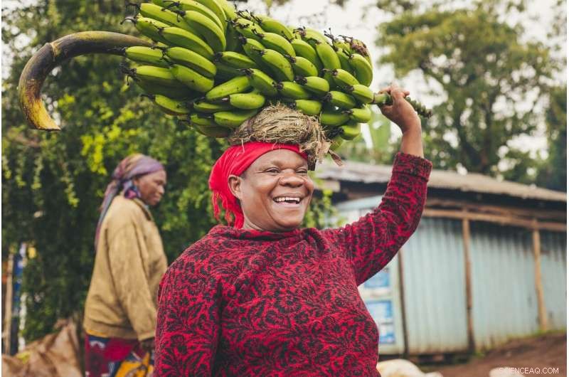 Climate Change Amplifies Food Price Increases and Farmers  Income Declines in Sub‑Saharan Africa