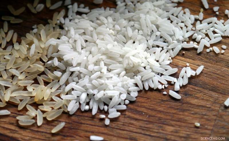 Global Rise in Mortality Linked to Arsenic Exposure from Rice Consumption
