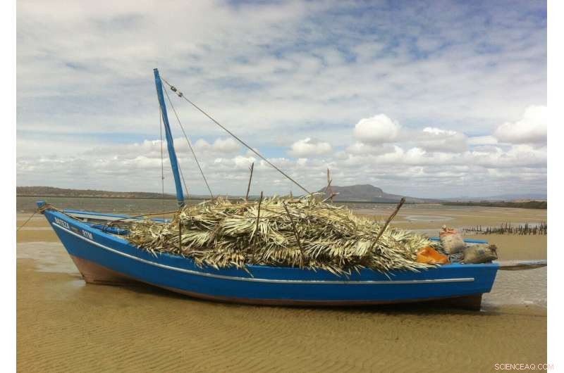 Defending Indigenous Bush Foods and Traditional Medicines from Biopiracy