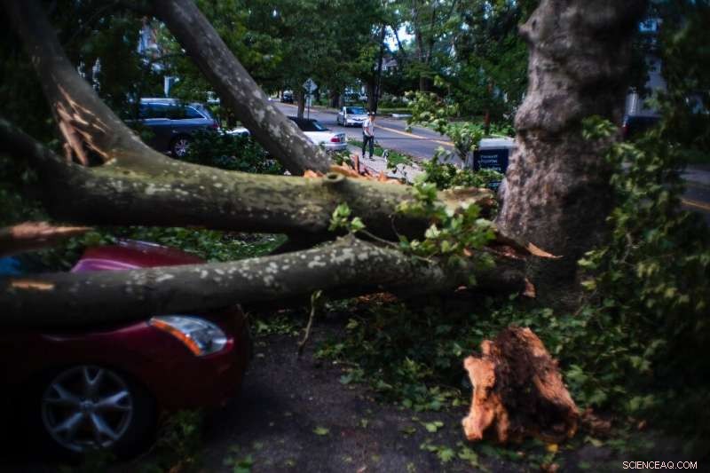 Tropical Storm Isaias Claims Five Lives, Moves into Canada