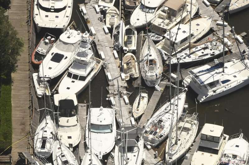 Tropical Storm Isaias Hits Eastern U.S., Causing Six Fatalities