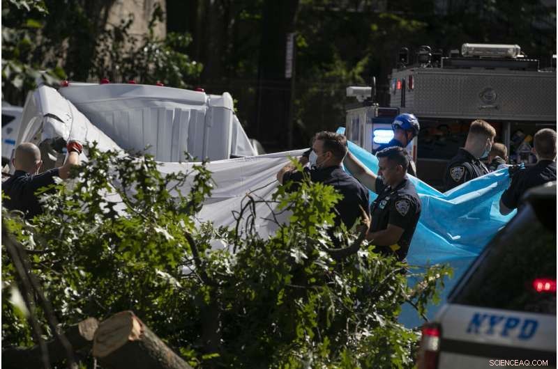 Tropical Storm Isaias Hits Eastern U.S., Causing Six Fatalities