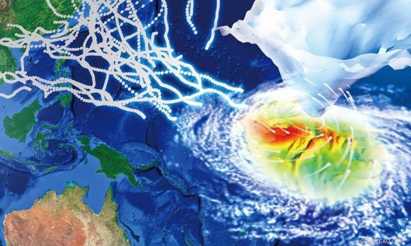 Accurate Typhoon Forecasting: Methods and Tools