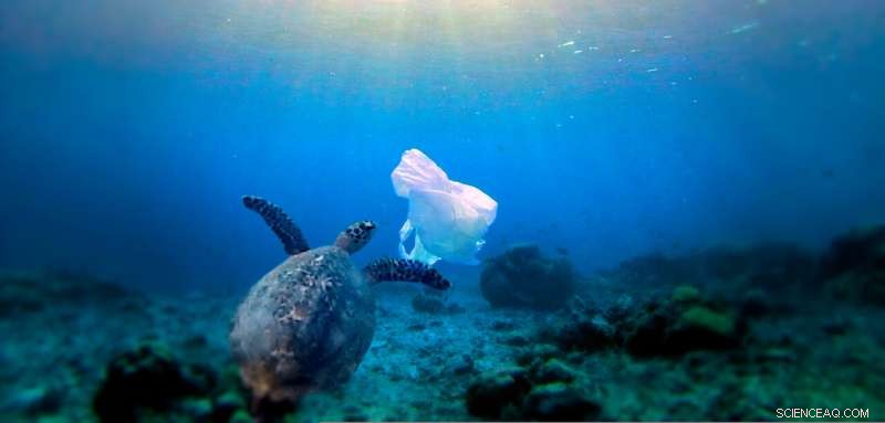 Surface Clean-Up Tech Fails to Resolve Ocean Plastic Crisis