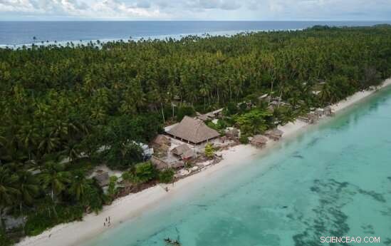 Scientists Analyze Pacific Food Supply Chain Resilience Amid COVID-19 Lockdowns