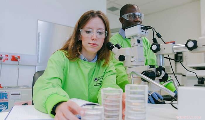 New Study Quantifies Microplastic Levels in Popular Seafood