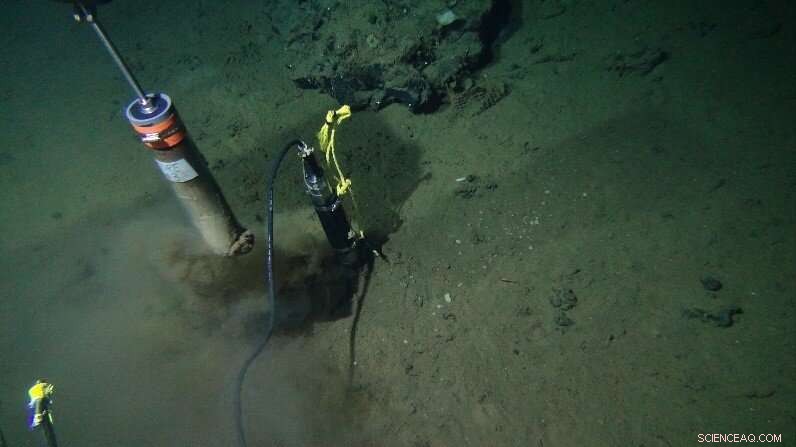 New Study Uncovers Lower Energy Threshold for Life on Earth