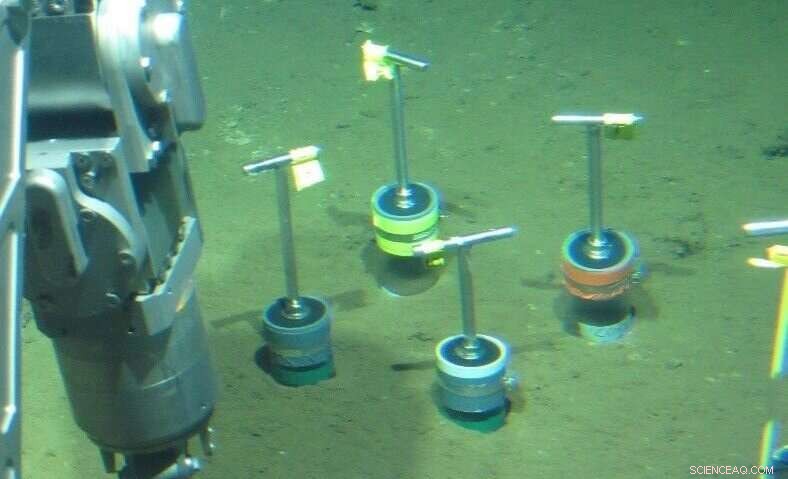 New Study Uncovers Lower Energy Threshold for Life on Earth