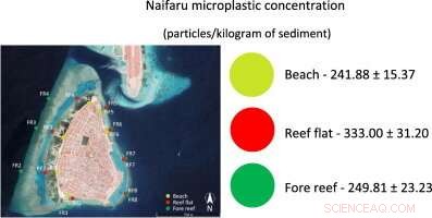 Maldives Reports Record-High Microplastic Pollution Worldwide