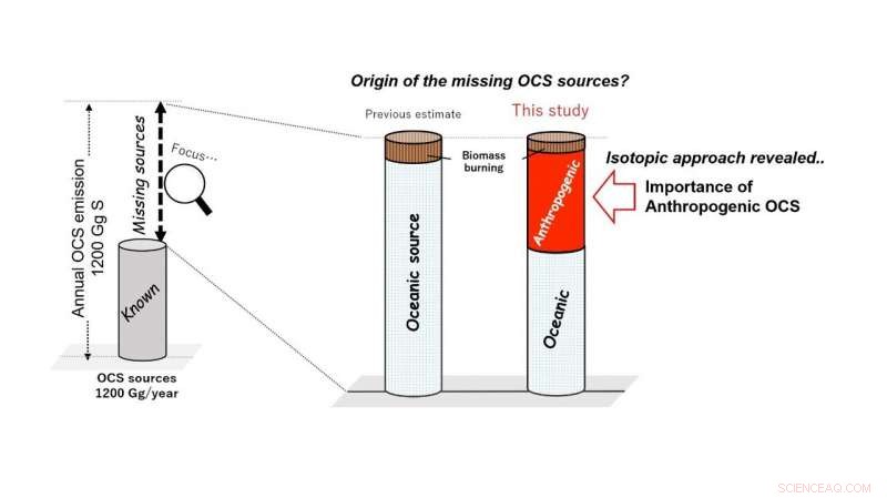 Scientists Pinpoint Overlooked Source of Atmospheric Carbonyl Sulfide