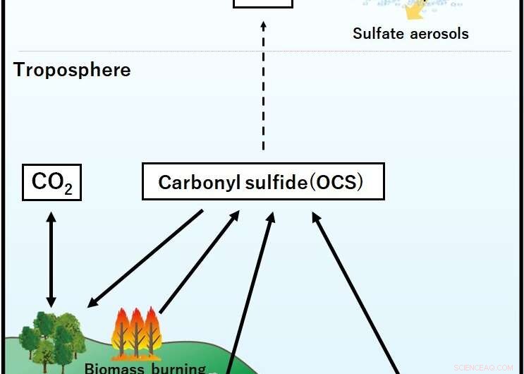 Scientists Pinpoint Overlooked Source of Atmospheric Carbonyl Sulfide